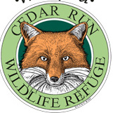 Homeschool (Thursdays) - logo